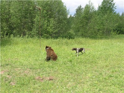 Оля, Сережа, Герн и Лора - Страница 9 Fb60f20570d575f42fddb75d0d3ec319_1