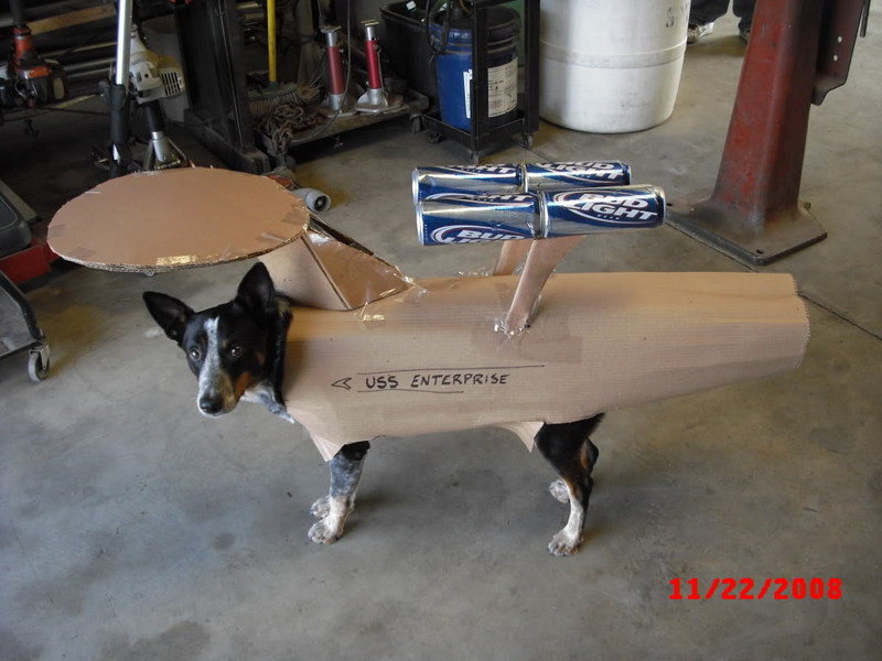  USS Enterprise dog