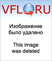 http://vfl.ru/i/20110412/333fecd7a5a2fd2aad7d13eea38cc834_1.png